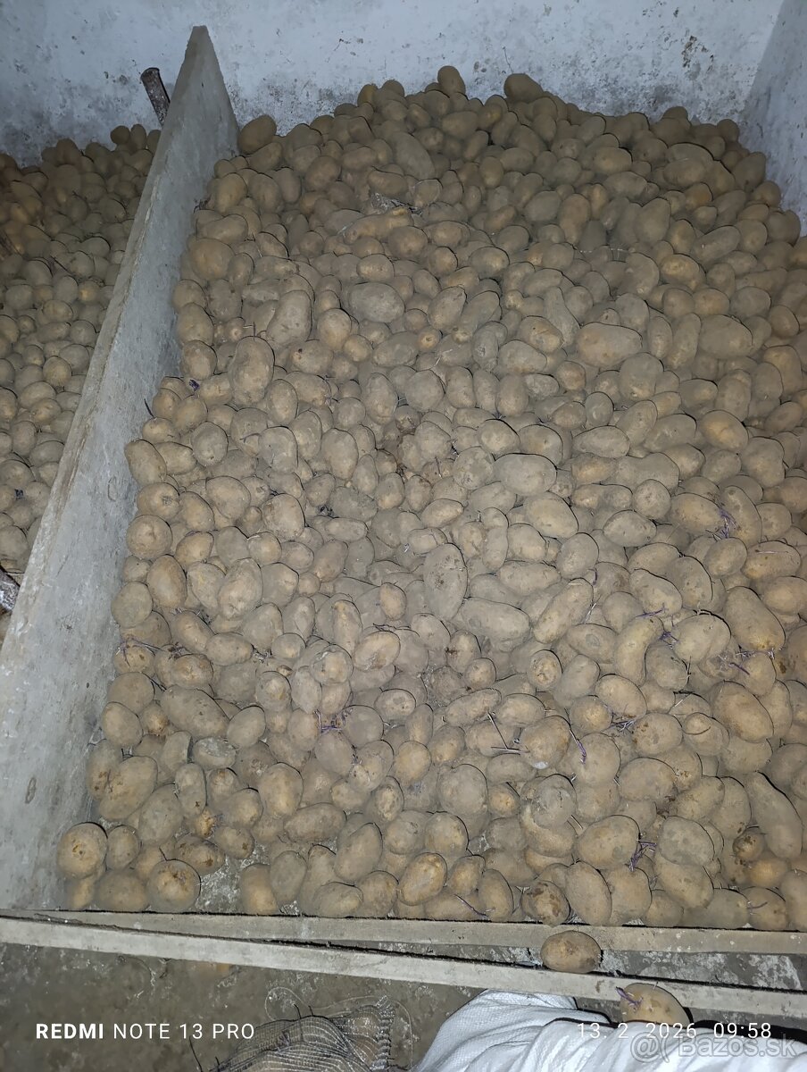 Zemiaky - 2