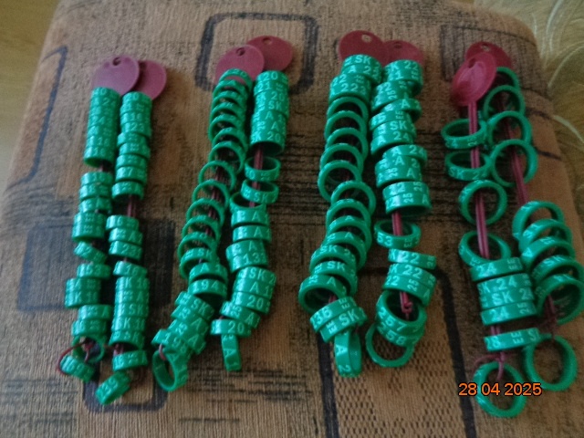 Krúžky na hydinu - 2