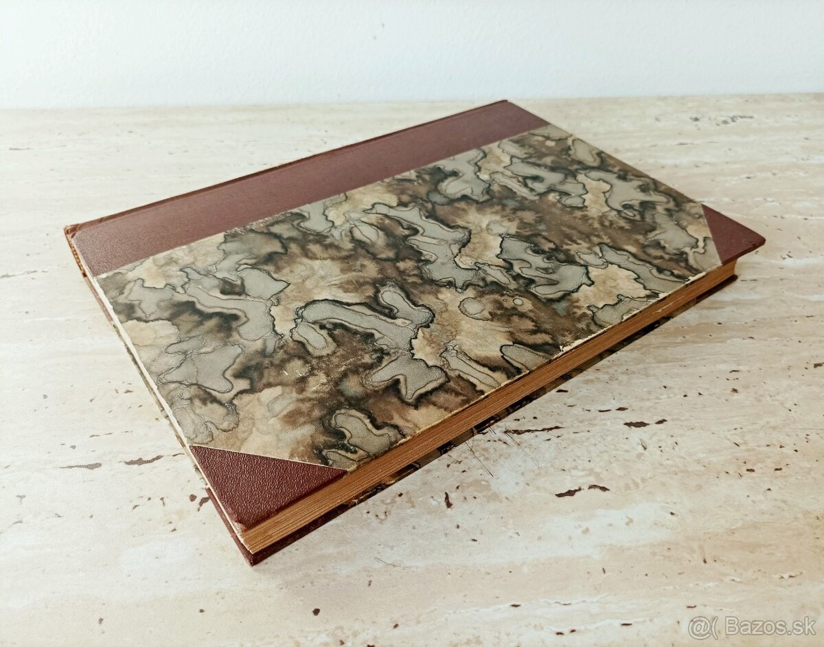 Časopisy Šťastný domov, svázaný ročník 1923, krásný stav - 2