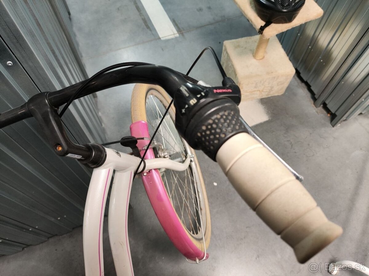 Mestský ružovy bicykel - 2