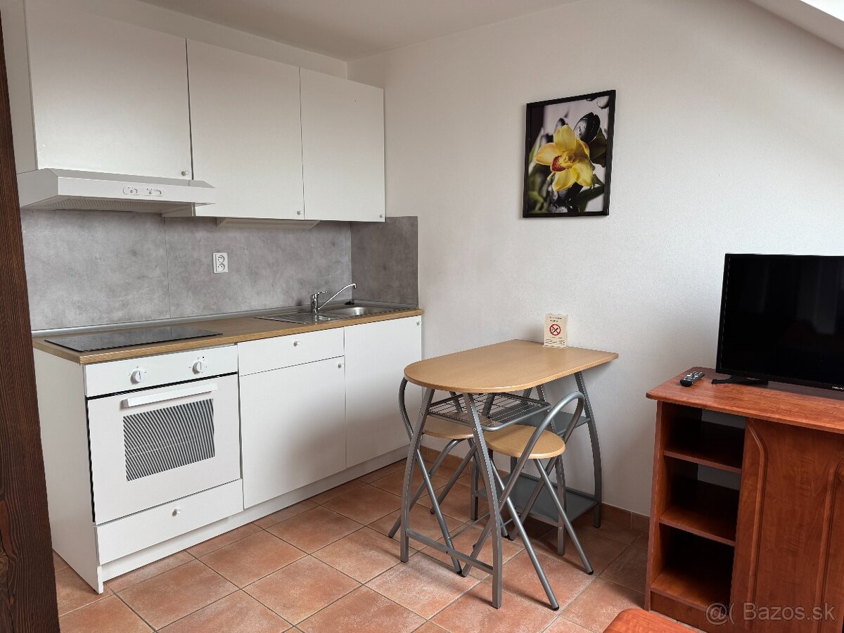 Podkrovný 1 izbový apartmán v centre - 2