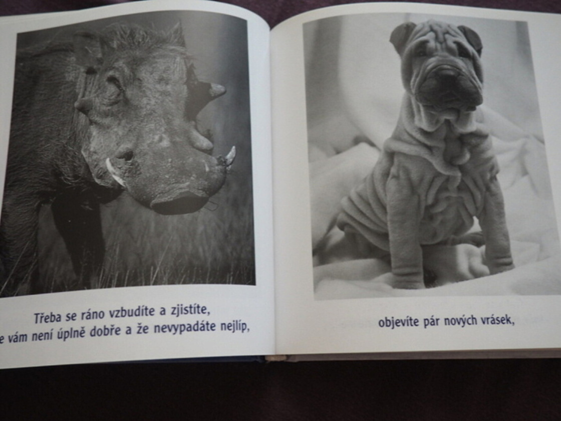 knizka Kdyz se nic nedari Rychlokurs vylepsovani nalady - 2