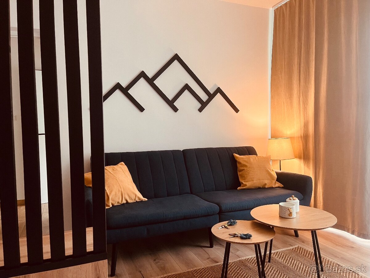 Prenajom 1 izbovy byt v BB - 2