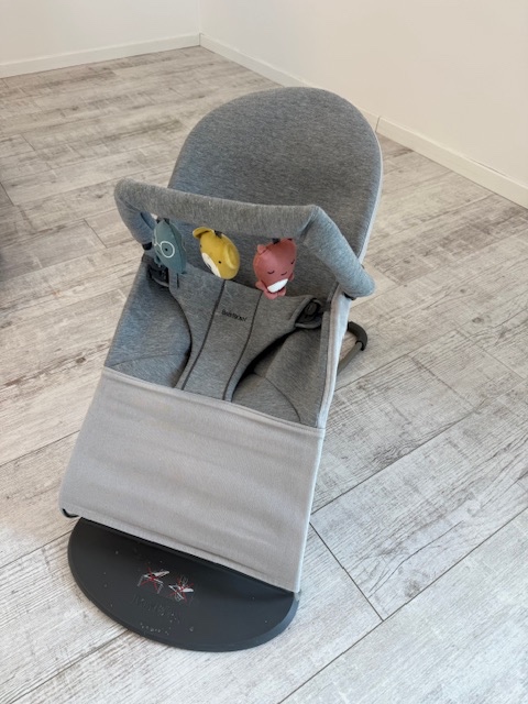Baby Bjorn Bouncer - 2