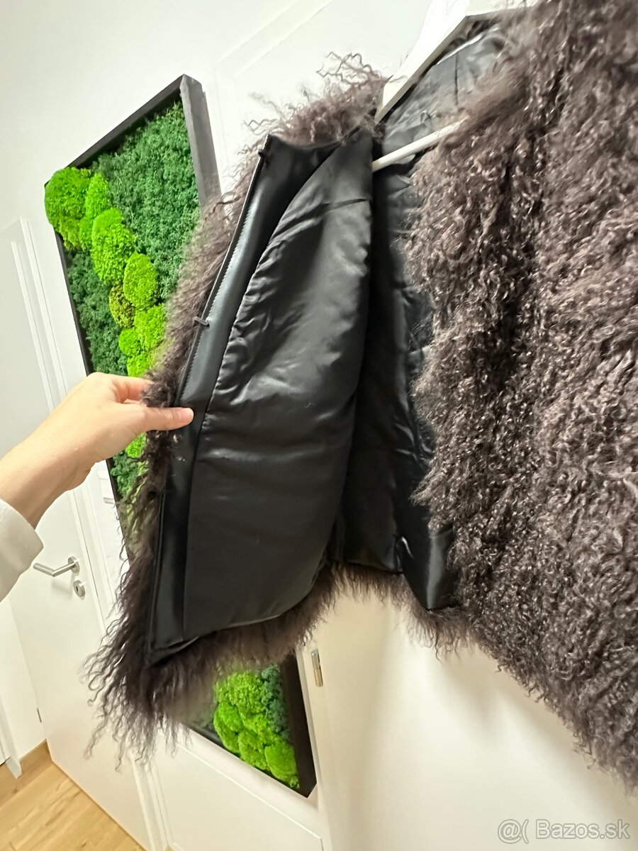 Mongolska ovca kabat - 2