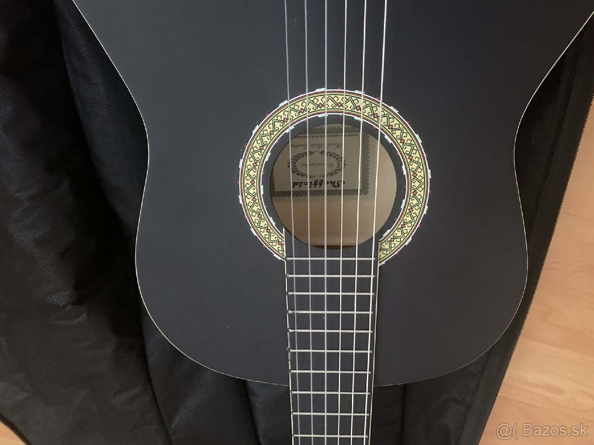 Gitara Sheffield s púzdrom - 2