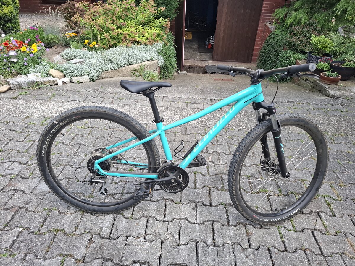 Specialized pitch - 2