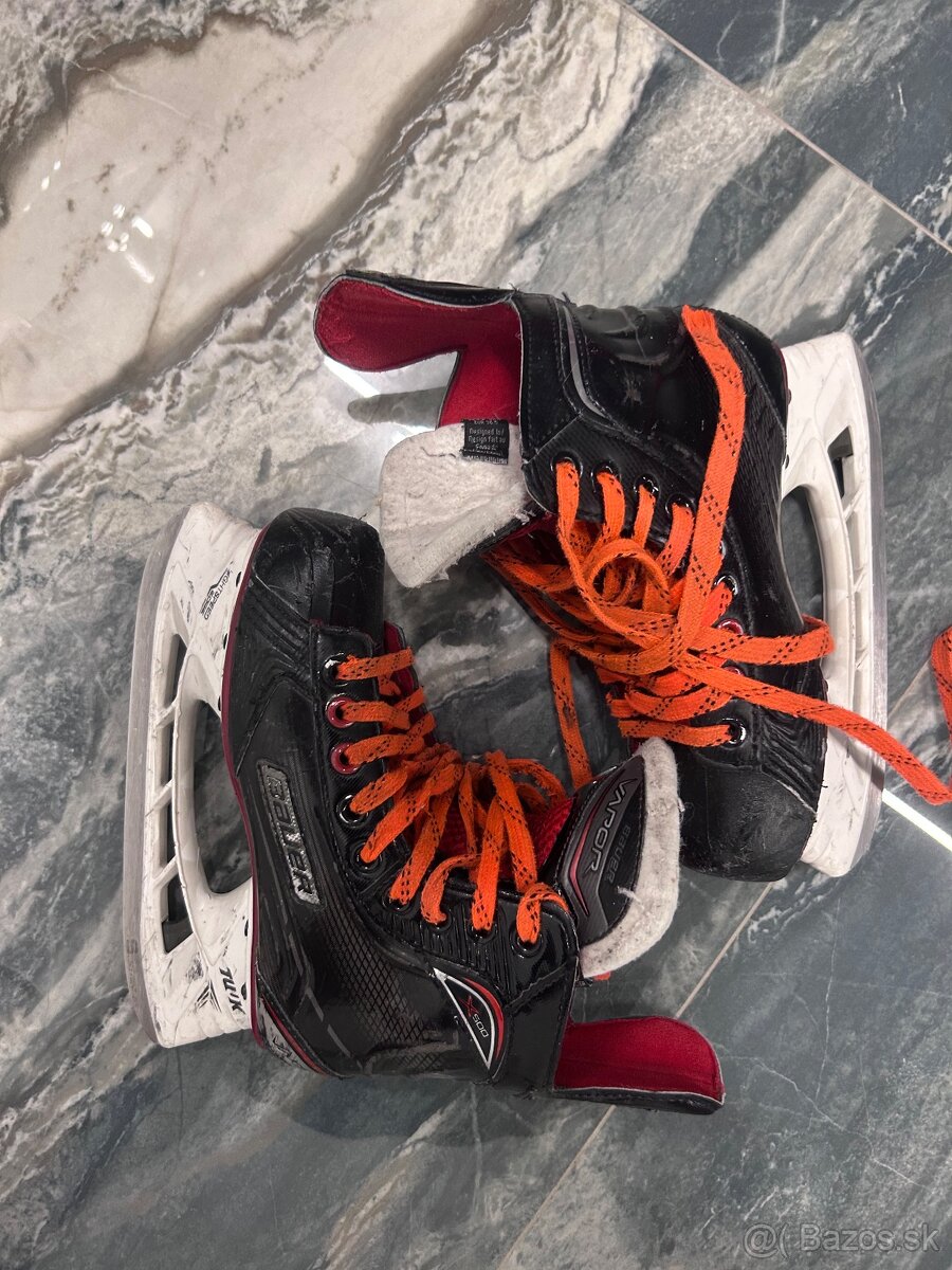 Korcule bauer vapor 36,5 - 2