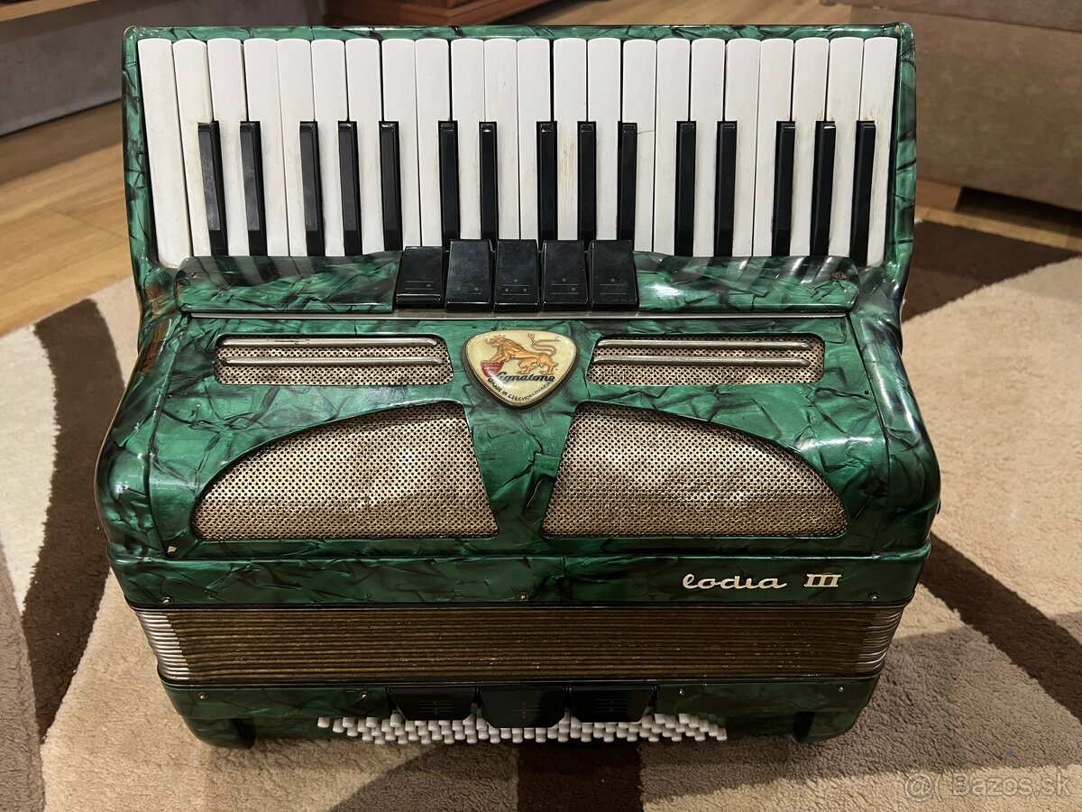 Harmonika-akordeón Lignatone - 2