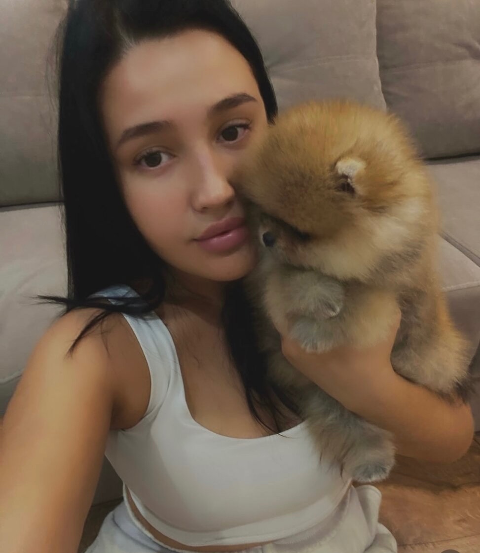 Rozkošný Pomeranian - 2