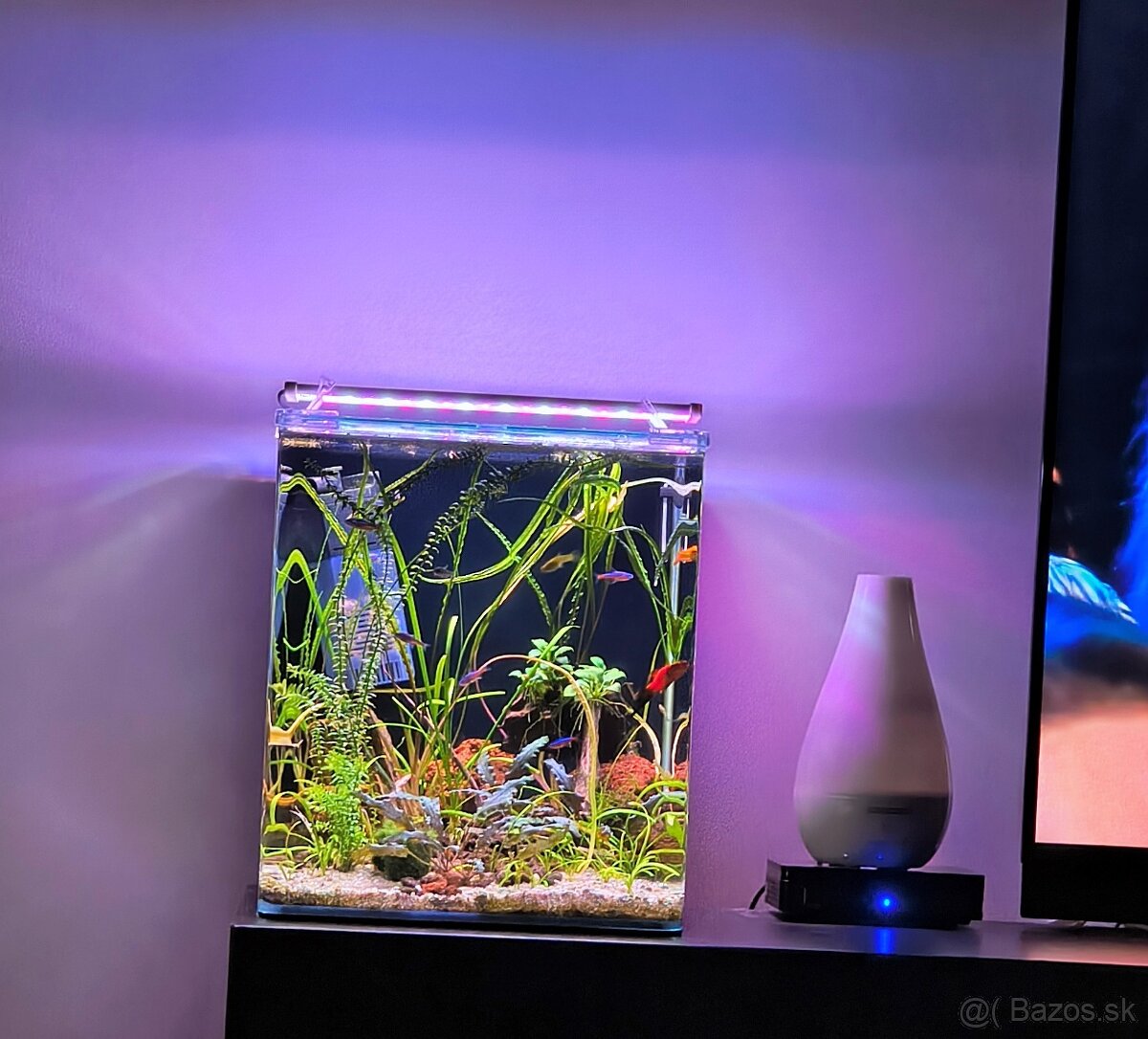 Akvárium Dennerle Nano Cube 30L - 2