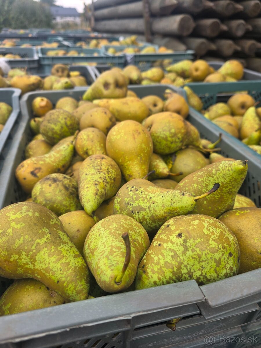 Ovocie na alkohol Hrušková konferencia 6t - 2