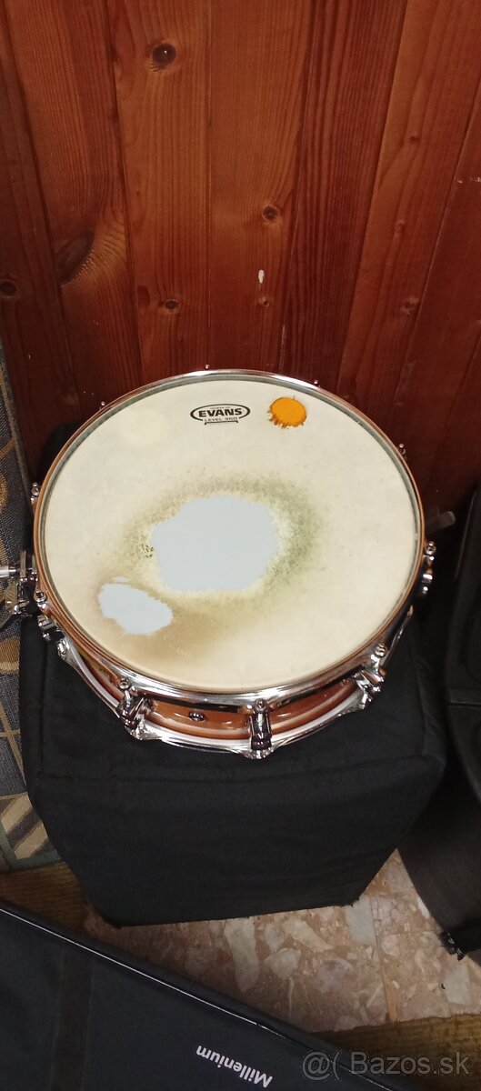 PDP CONCEPT MAPLE SNARE 14 ×5.5 - 2