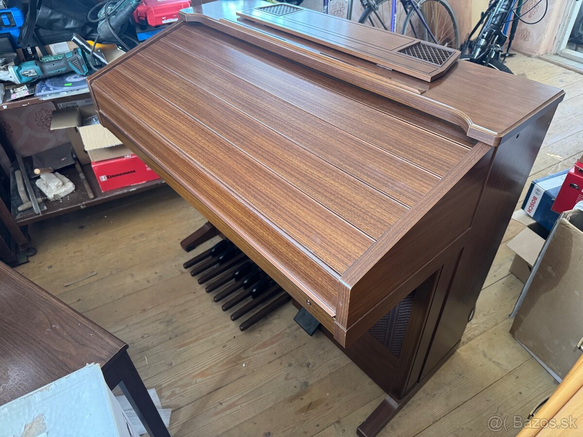 Elektrický Organ - 2