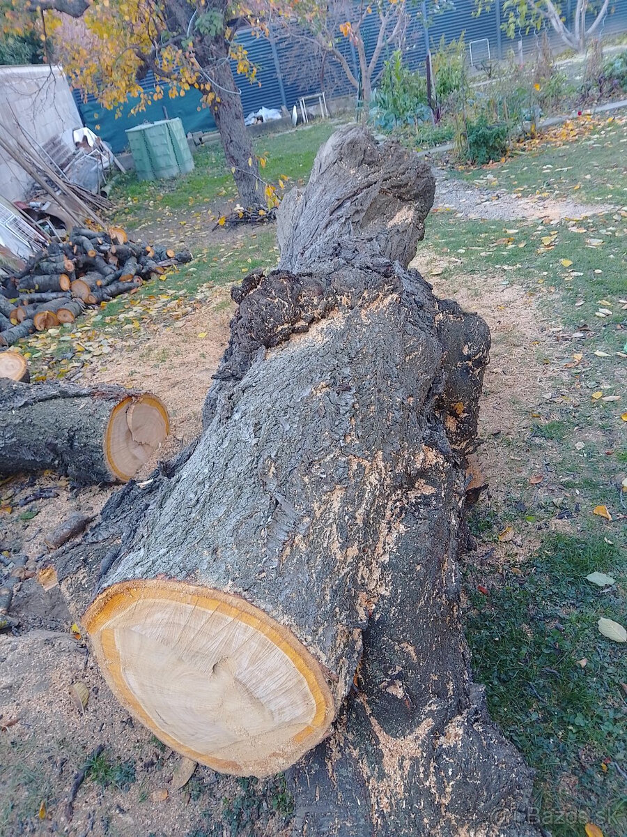 Čerešňové drevo - 2