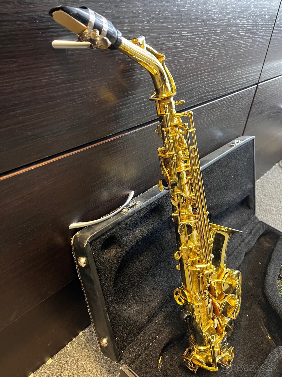 Saxofón Buffet Crampon + kufor - 2