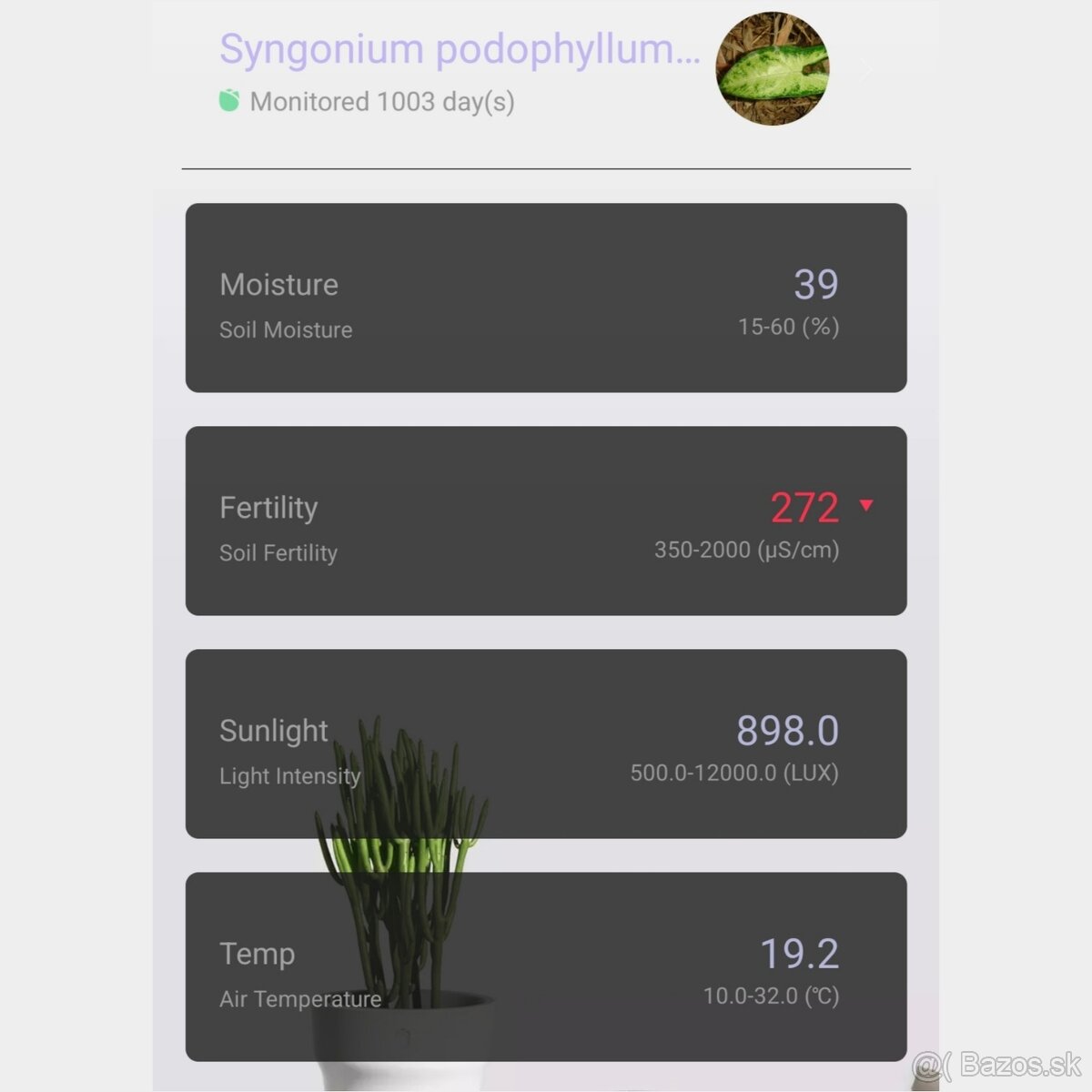 Xiaomi Flower Care - 2