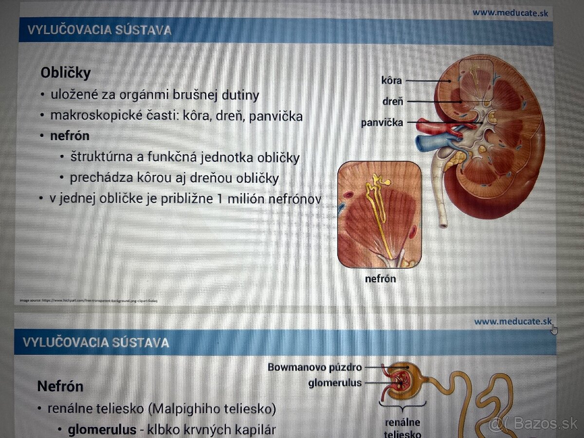 Materiály meducate BIO,CHEM - 2
