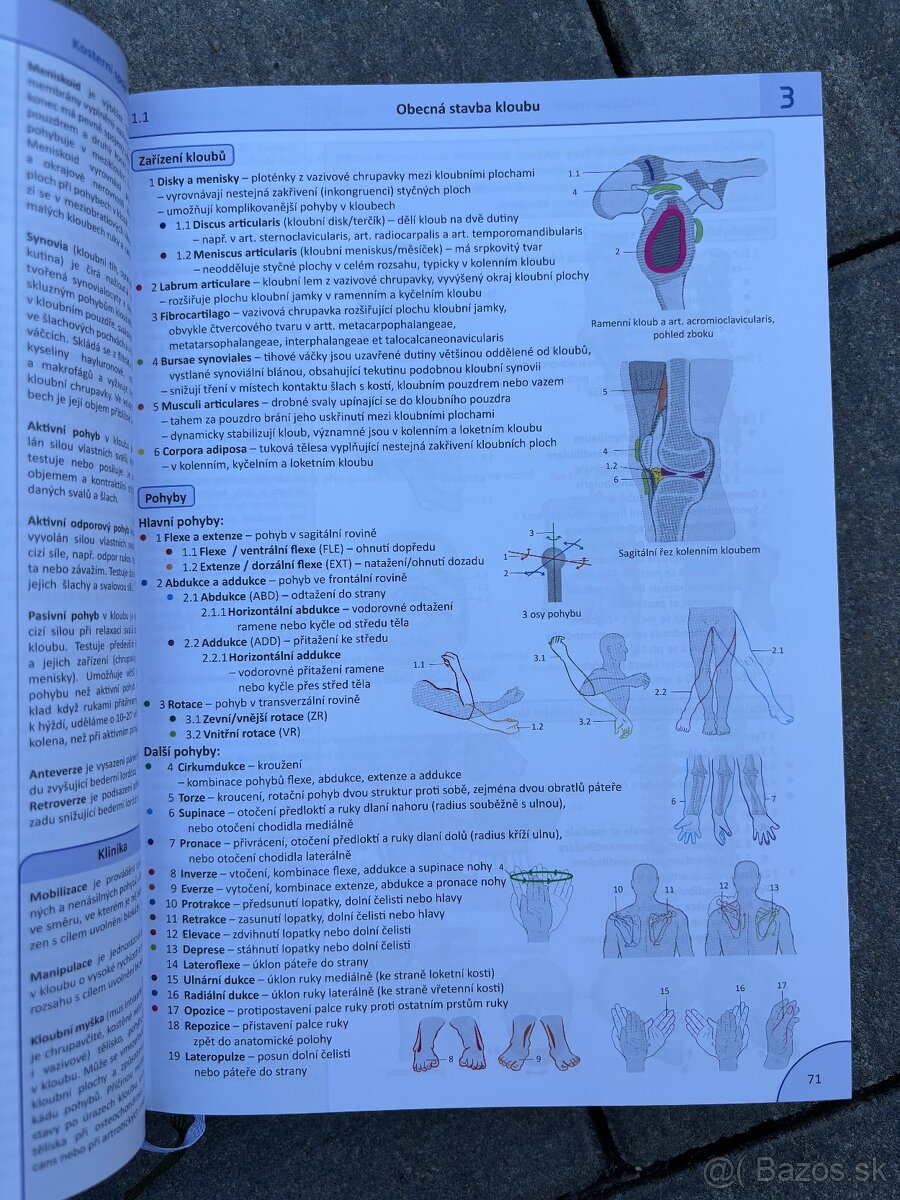 Memorix anatomie 6.vydanie - 2