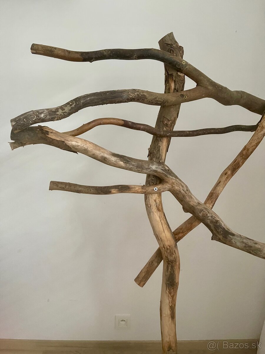 Strom pre papagaje - 2