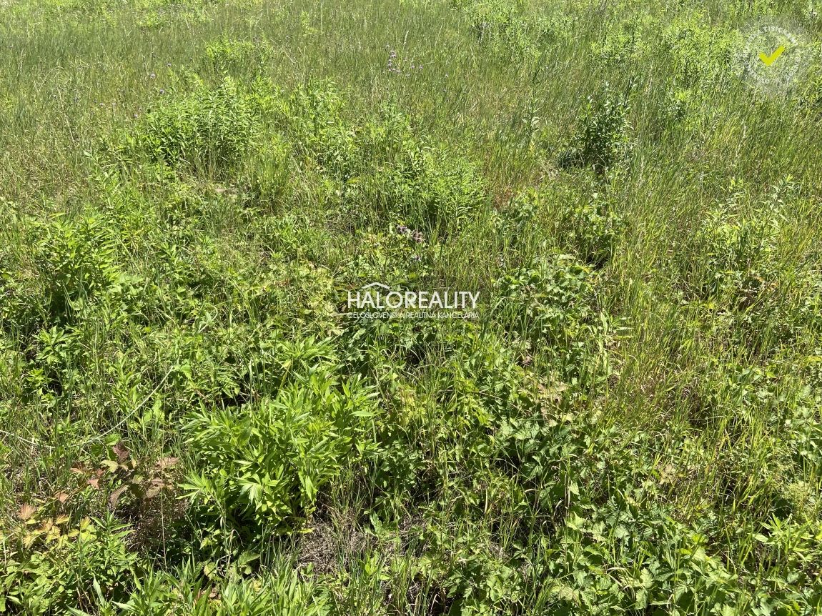 HALO reality - Predaj, pozemok pre rodinný dom 496 m2 Preš - 2