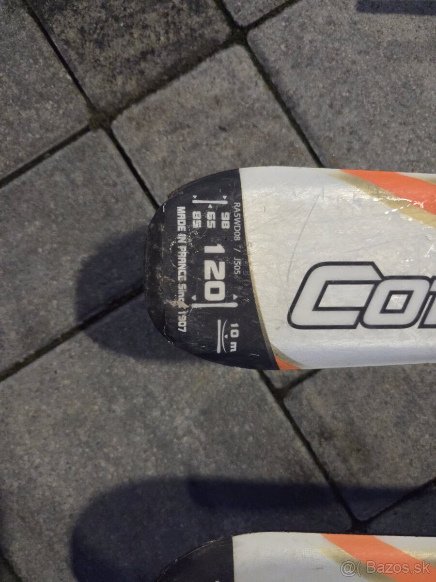 Predám lyže, lyziarky, palice - 2