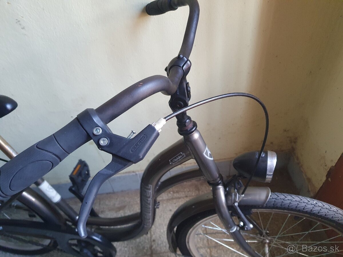 Damsky bicykel kenzel - 2