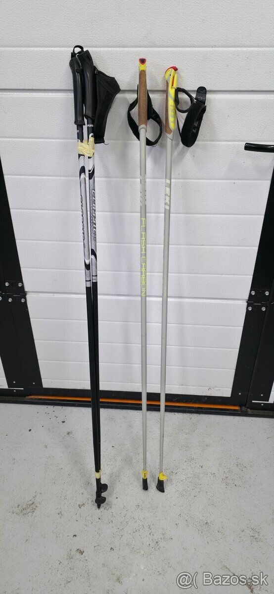 Trekingové palice - 2