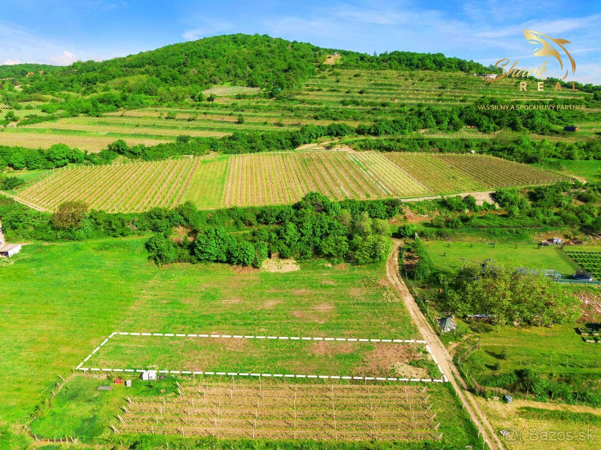 ZÁHRADA 500m2_ Predaj - 2