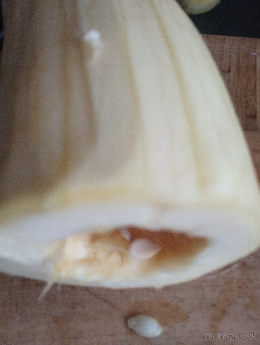 Cuketa biela - 2