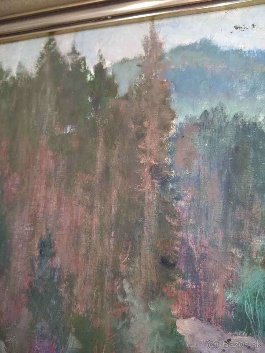 Obraz signovaný - 2