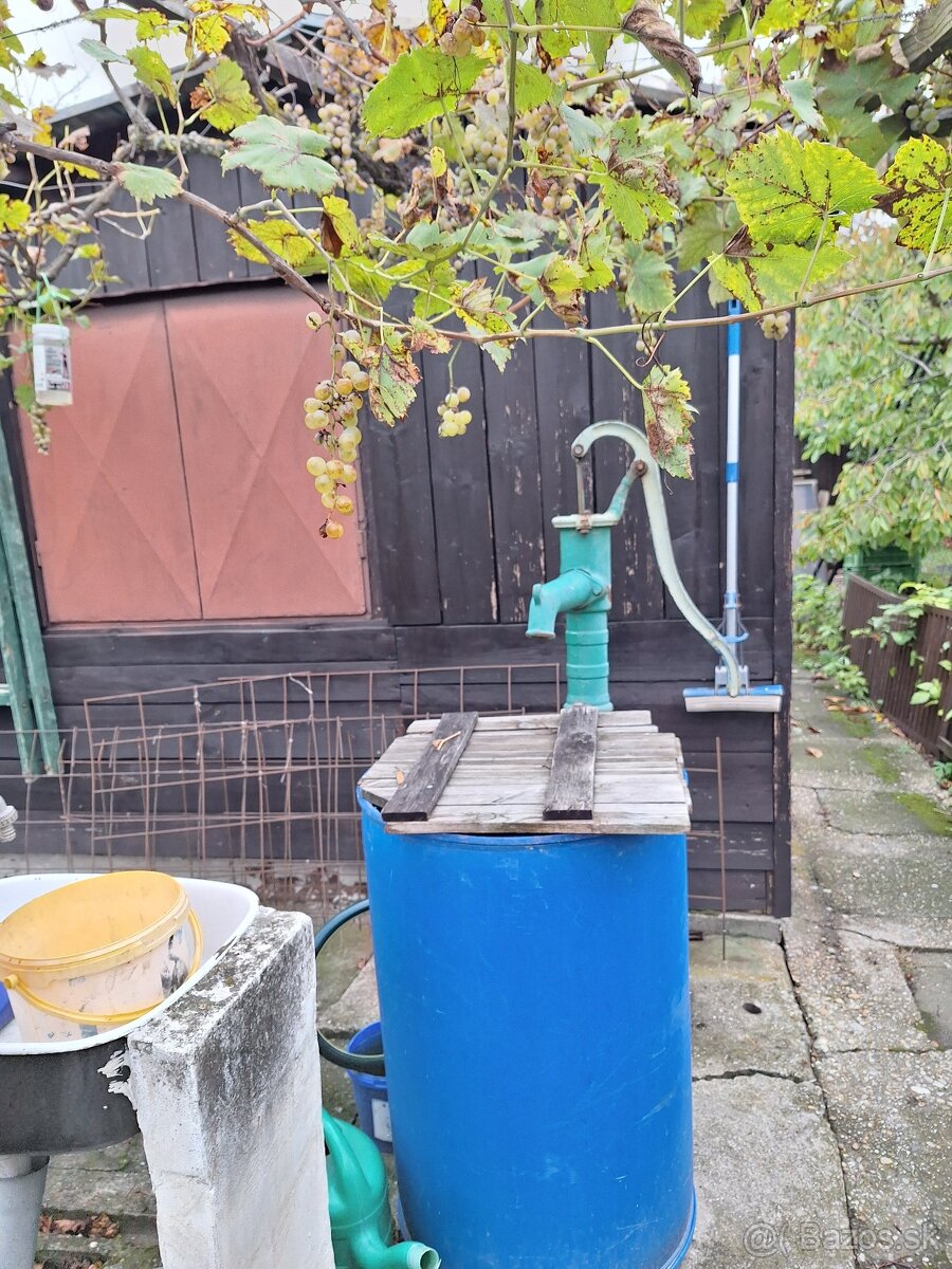 Záhrada Rača/Rendez/ - 2