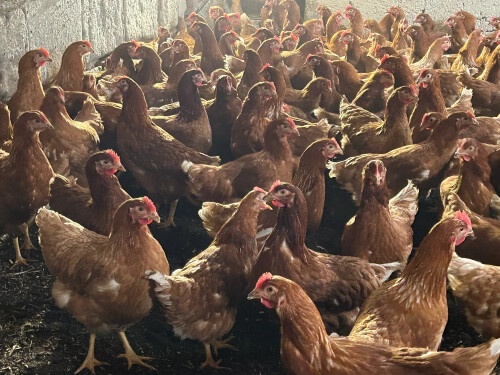 Mladé všetkych farbach - 2