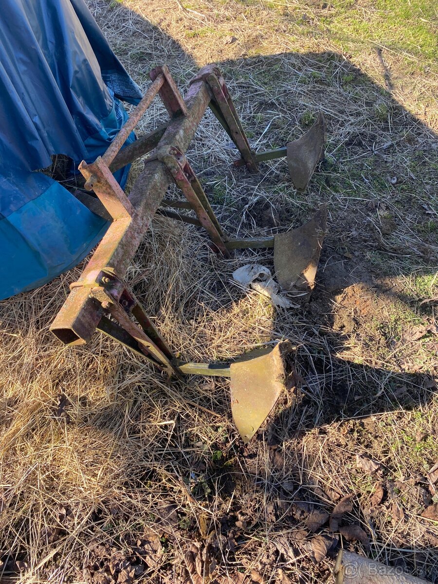 Hrobkovač pliečky - 2