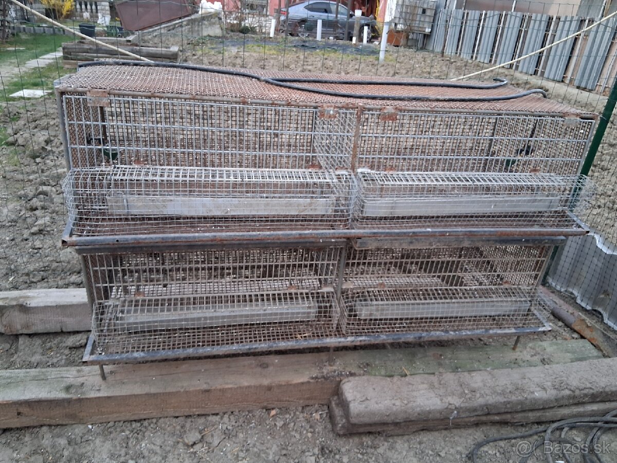 Klietka pre prepelice - 2