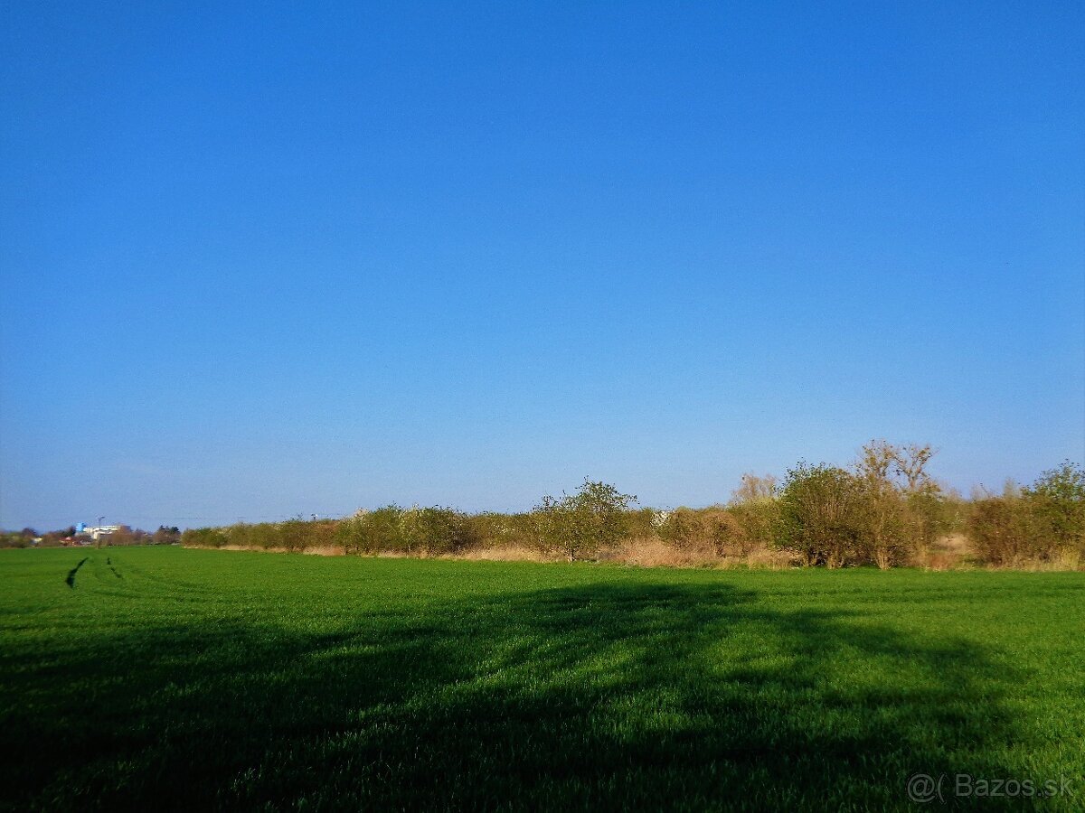 JEDINEČNÝ STAVEBNÝ POZEMOK s prístupovou cest.4ha PRI JAZERE - 2