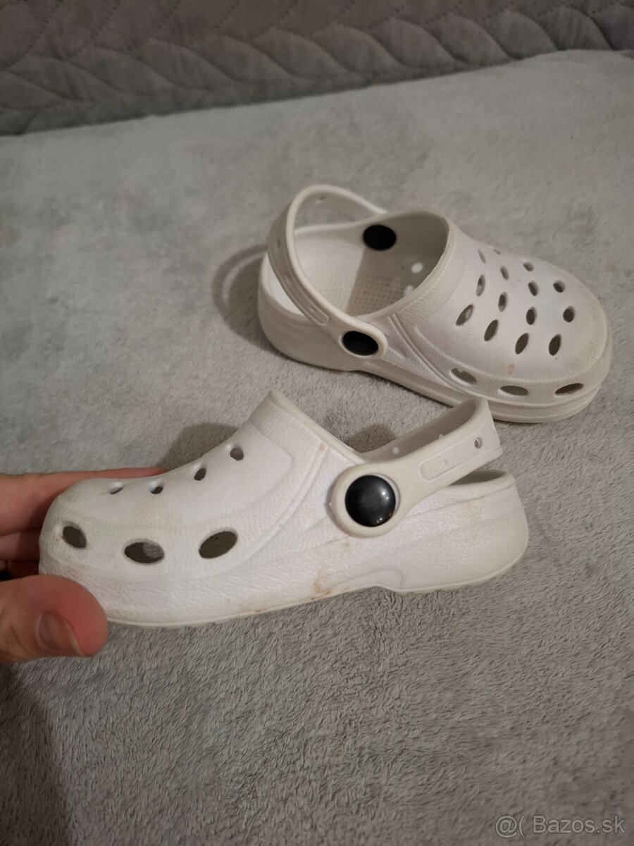 Crocsy - 2