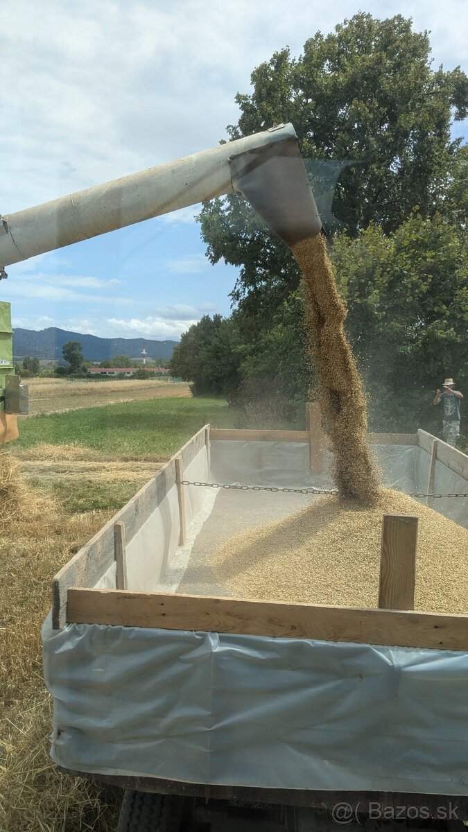 Predám jačmeň - 2