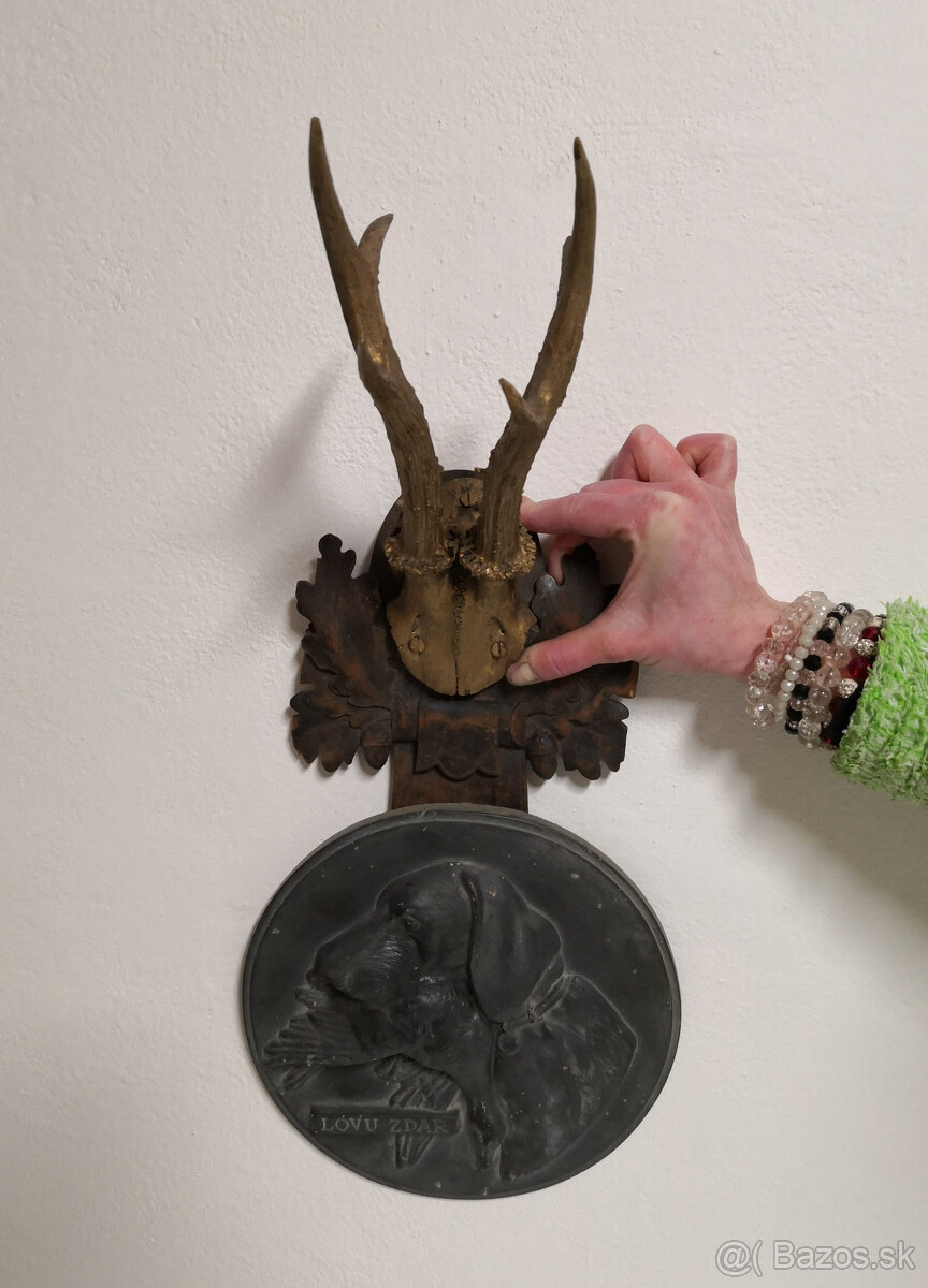 Trofej lovu zdar HOLBA 75 Vyžla - 2