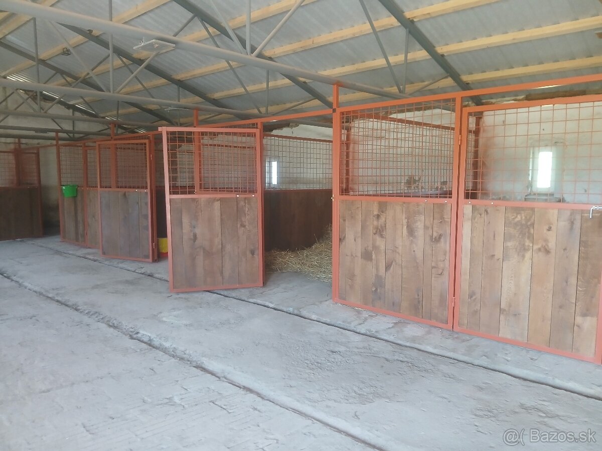 Ustajnenie koní - 2