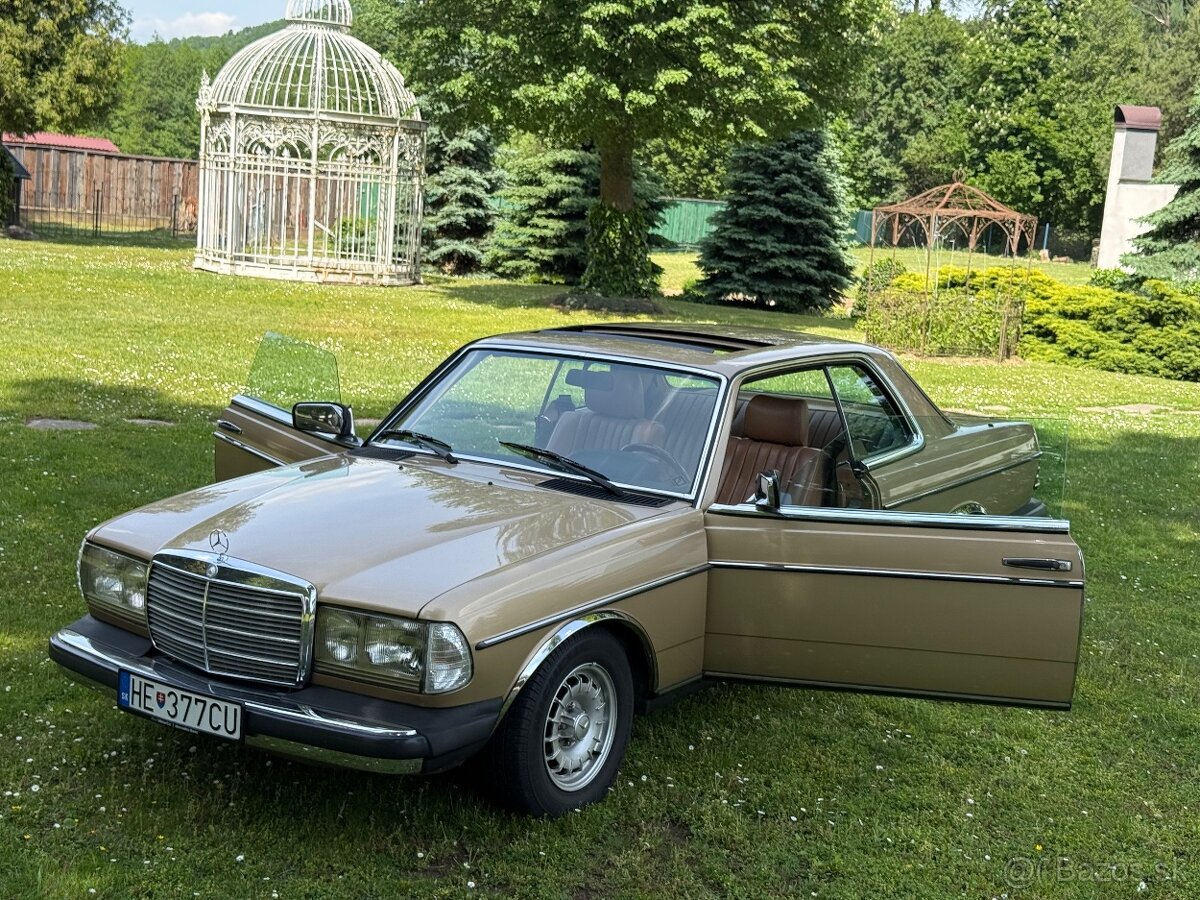 Mercedes w123 coupe 300cd - 2