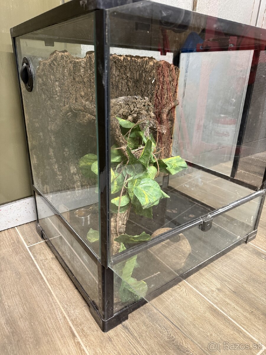 Terarium reptizoo - 2