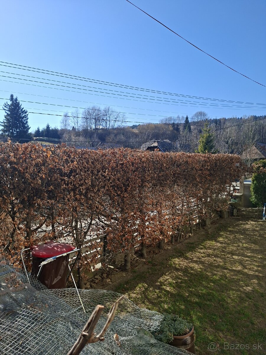 Zahradnícke a arboristické služby - 2