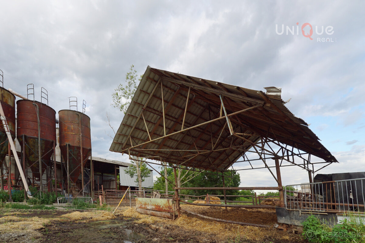 Na predaj: Vidiecka usadlosť pri Veľkom Mederi – 1ha, dom - 2