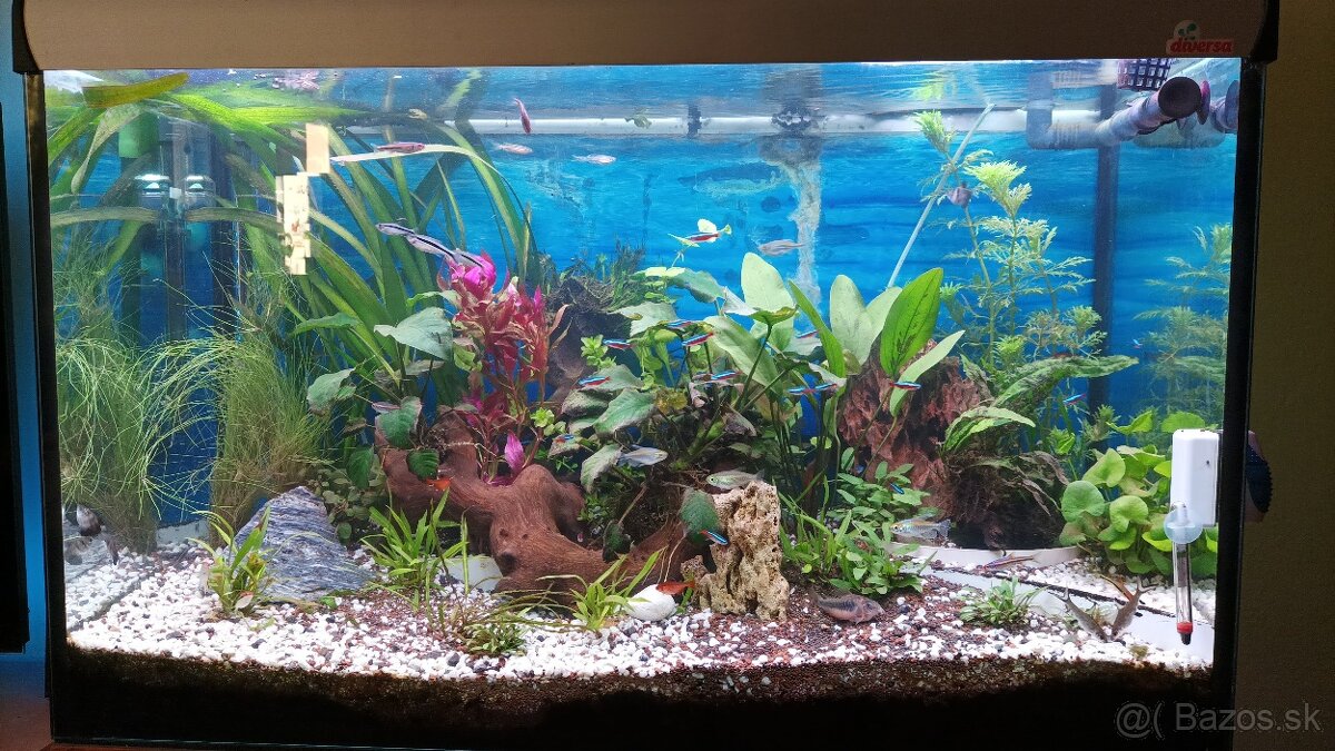 Akvarium 200l - 2