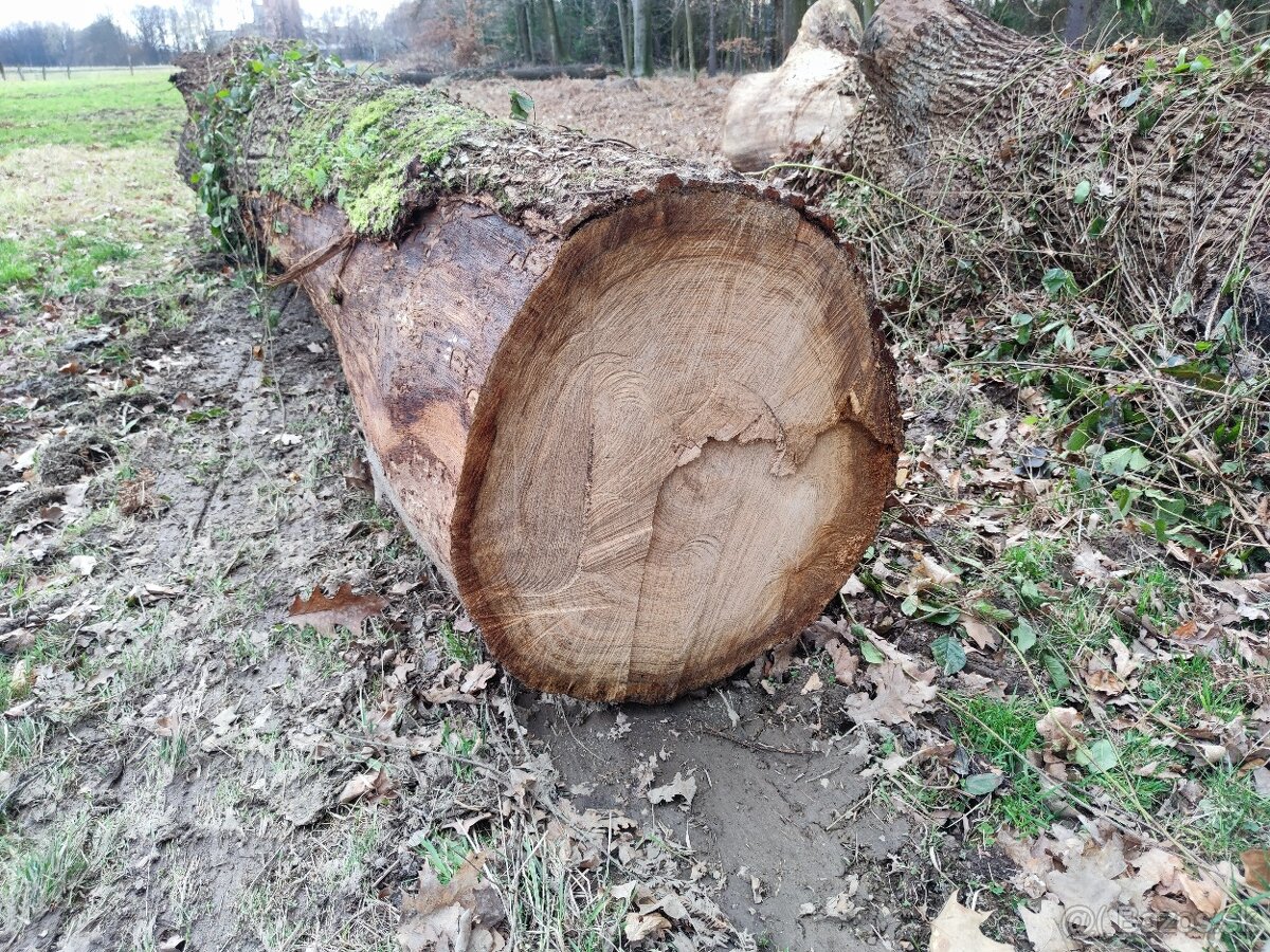 PREDÁM DOBOVÚ GULATINU - 2