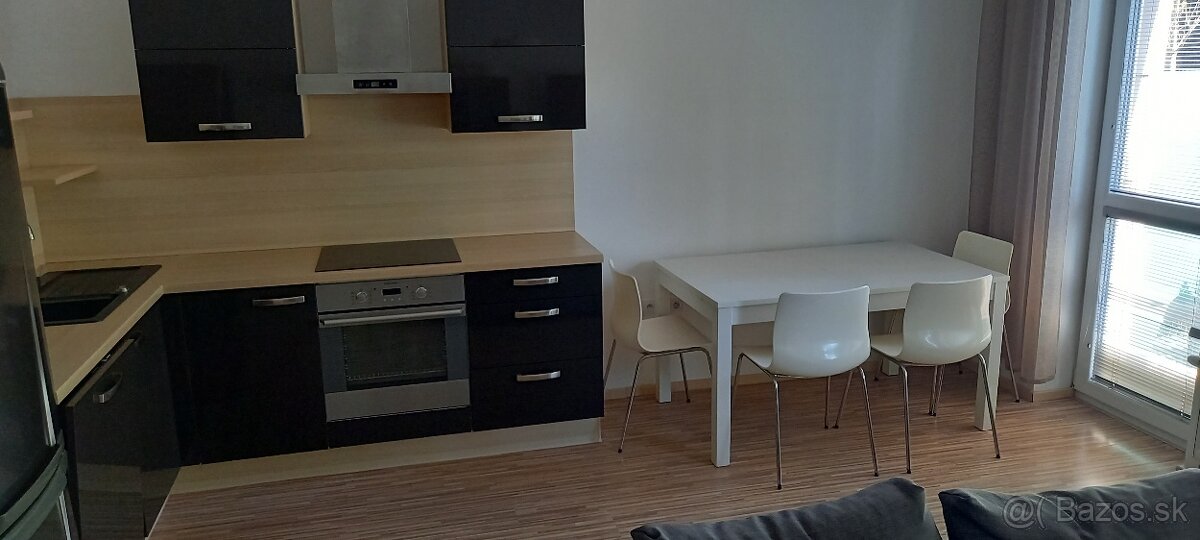 Veľký 1,5 izbový byt v novostavbe - 2