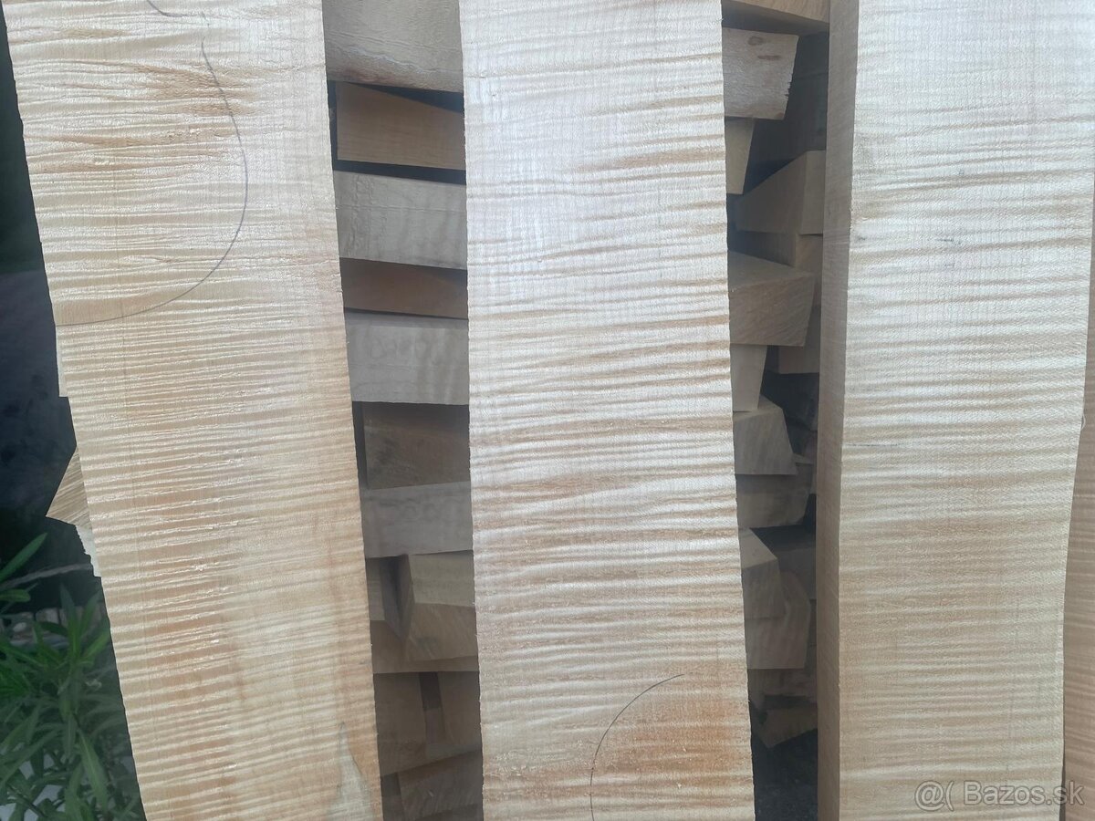 Predám javor a smrek na výrobu huslí/gitár - 2