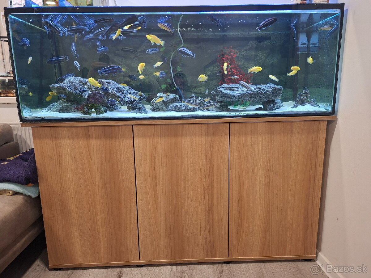 Predavam vsetko čo je na foto. - 2