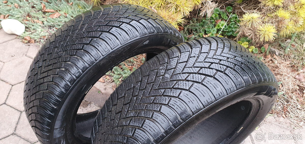 NEXEN , ZIMNE, CELOROCNE, 205/55 R16 - 2